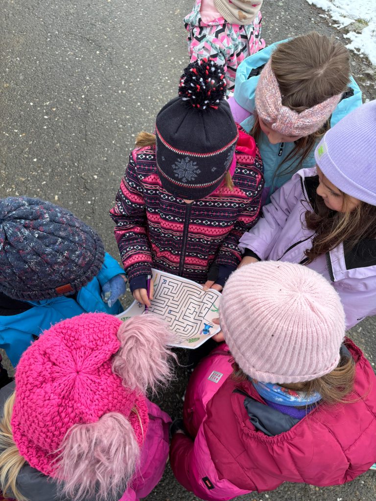 WhatsApp Image 2026-02-02 at 11.58.34.jpeg