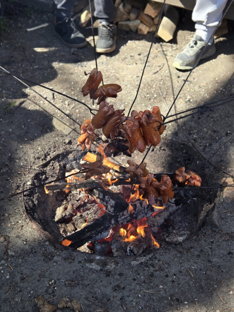 IMG-20260418-WA0059.jpg