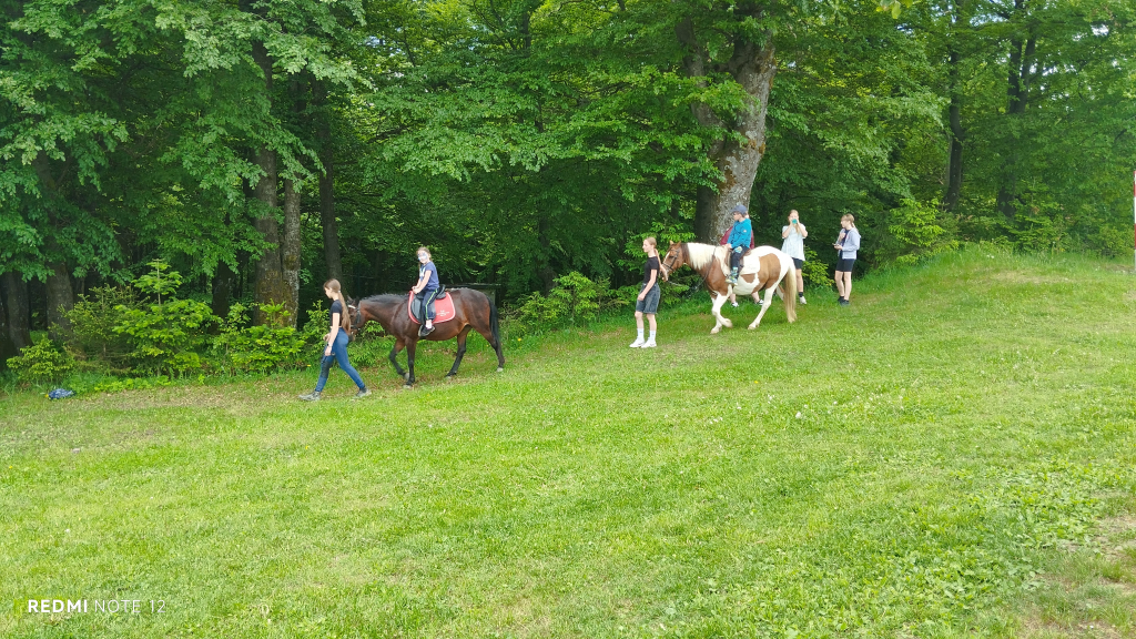IMG_20260607_134440.jpg