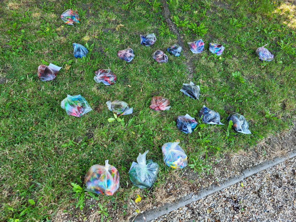 20260630_102651.jpg