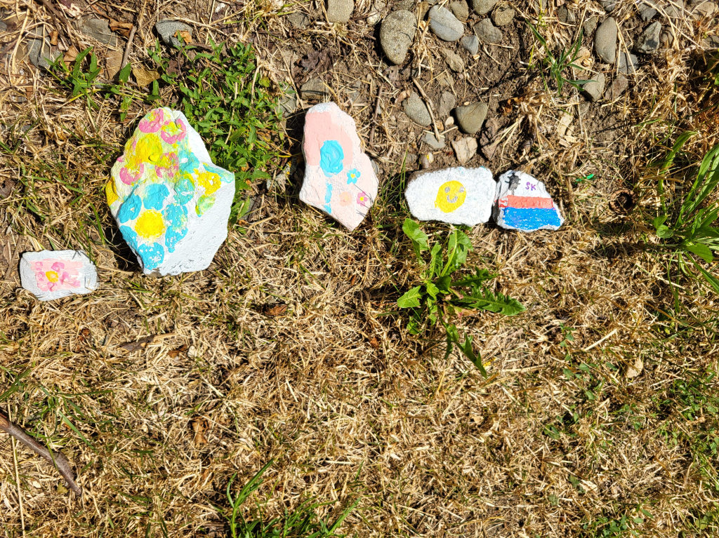 20260701_141851.jpg