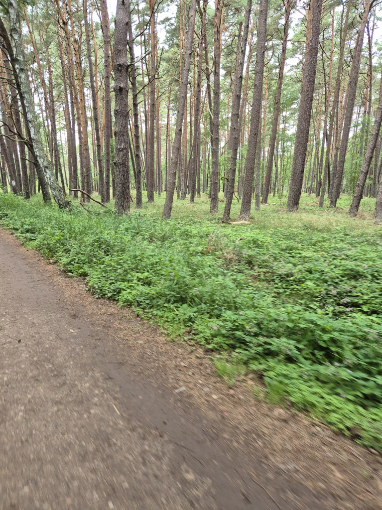 20260712_120120.jpg
