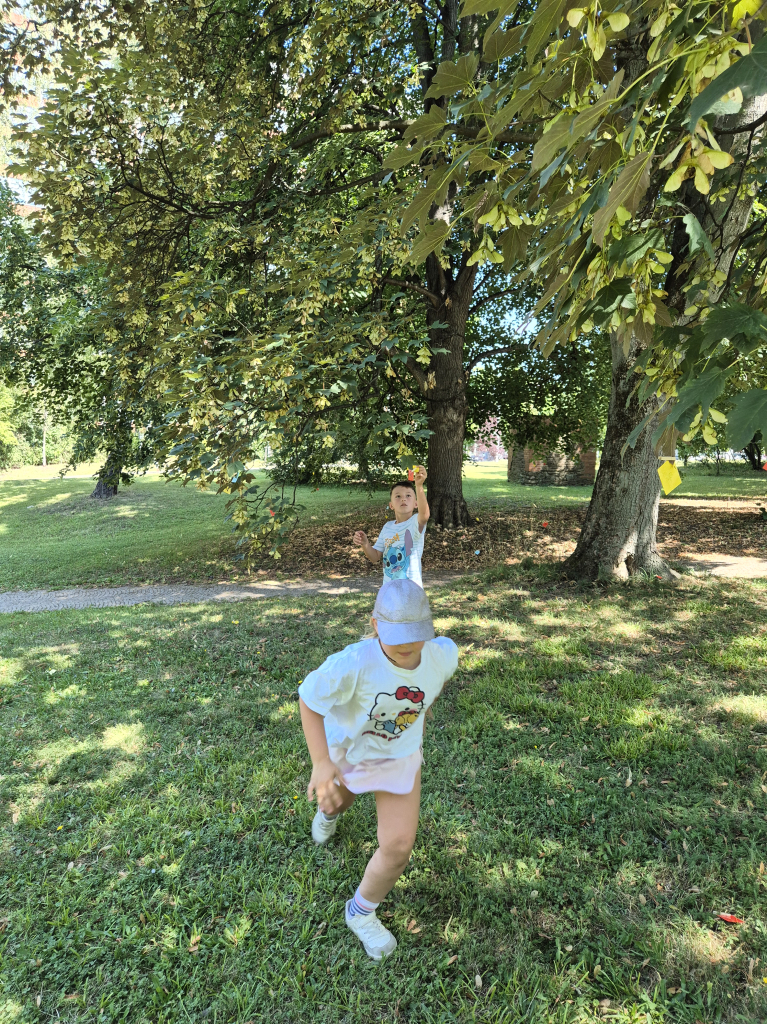 20260729_114548.jpg