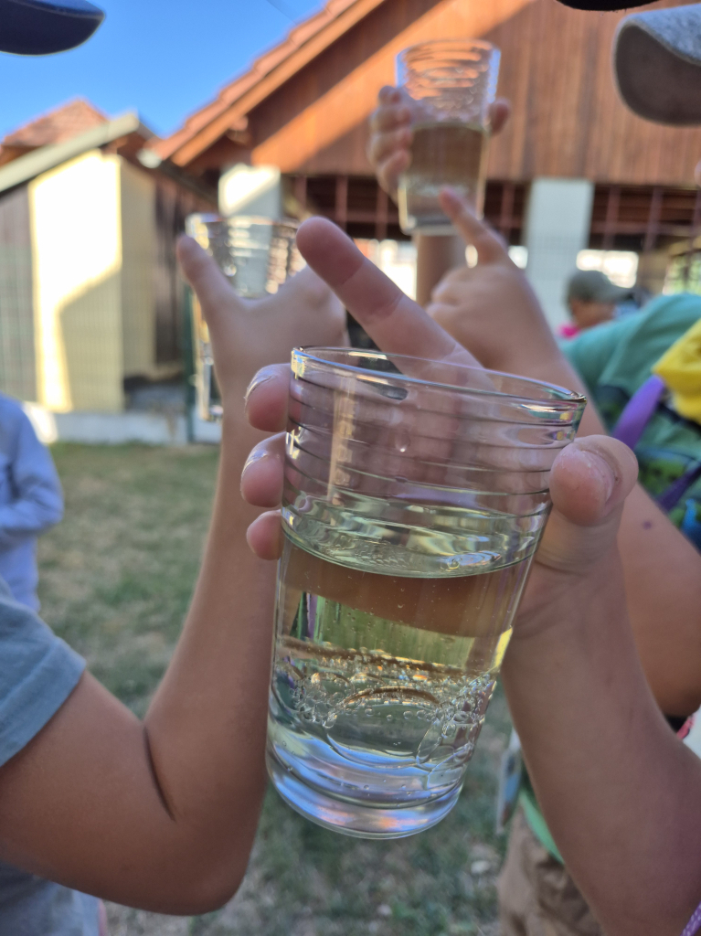 20260812_094820.jpg