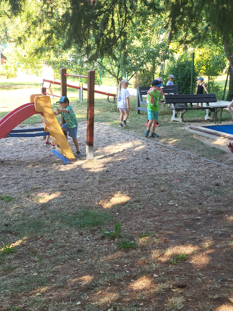 20260804_084431.jpg