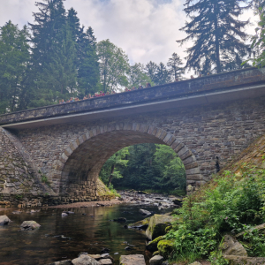 20250715_093834.jpg