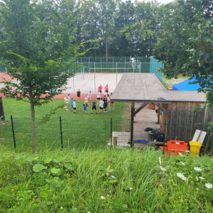 20250722_130039.jpg