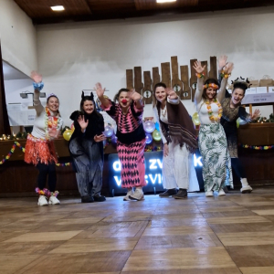 Karneval v Sokolovně