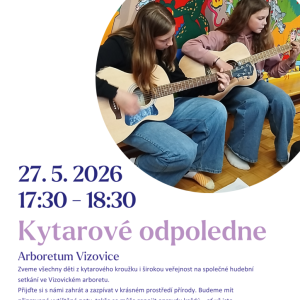 Kytarové odpoledne